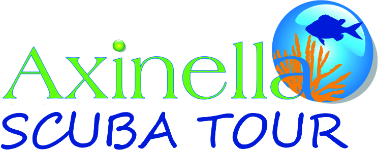 logo Axinella