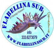Logo Flabellina Sub