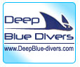 logo deep blue