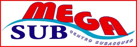 logo Megasub
