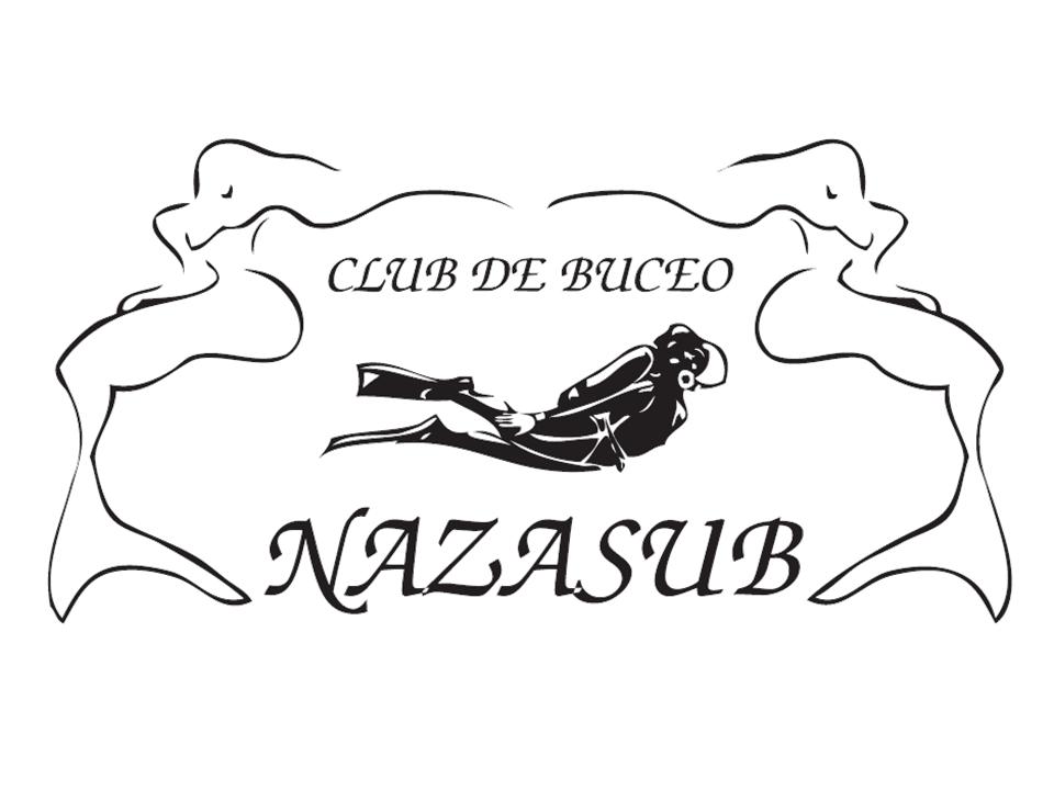 logo Nazasub